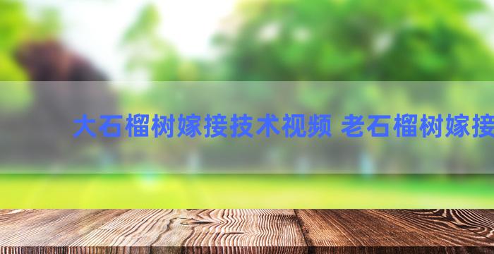 大石榴树嫁接技术视频 老石榴树嫁接方法